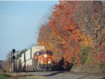 BNSF 7033 on 264